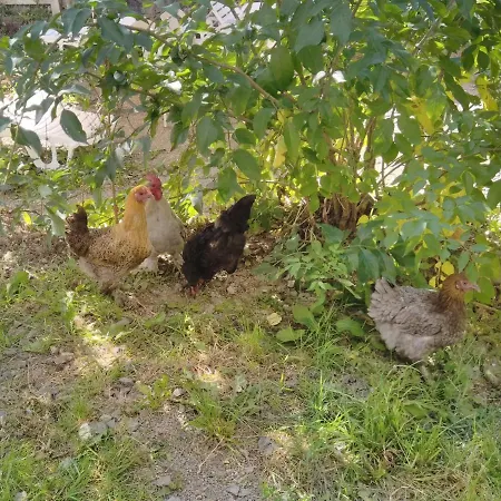 Hébergement de vacances De La Campagne Au Mont-saint-michel Pontorson