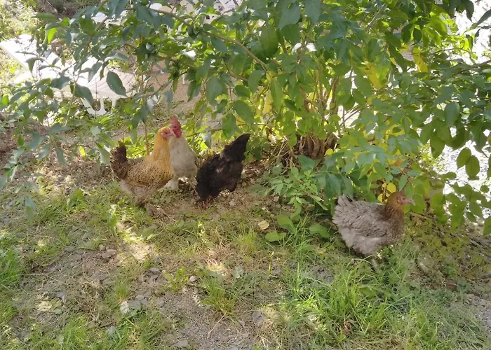 Hébergement de vacances De La Campagne Au Mont-saint-michel Pontorson